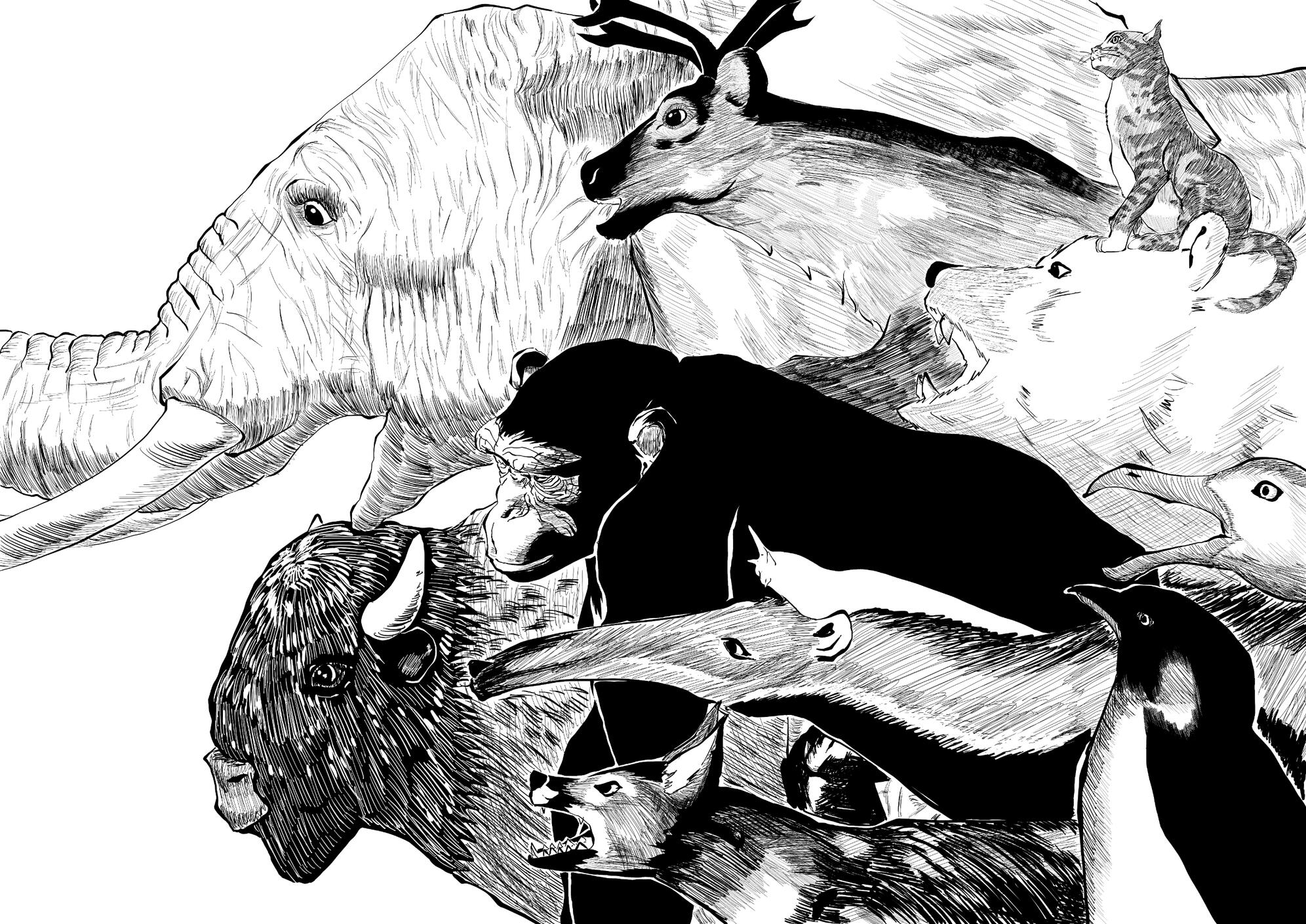 12. Animals are awesome